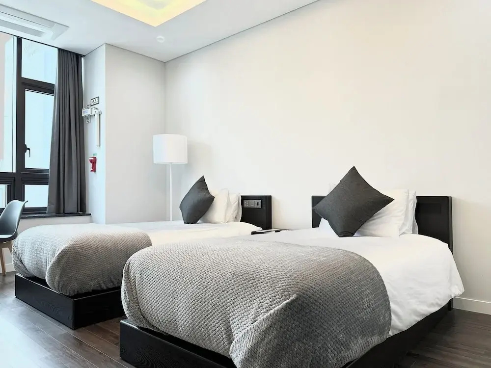 Deluxe Double room with city view (twin beds)