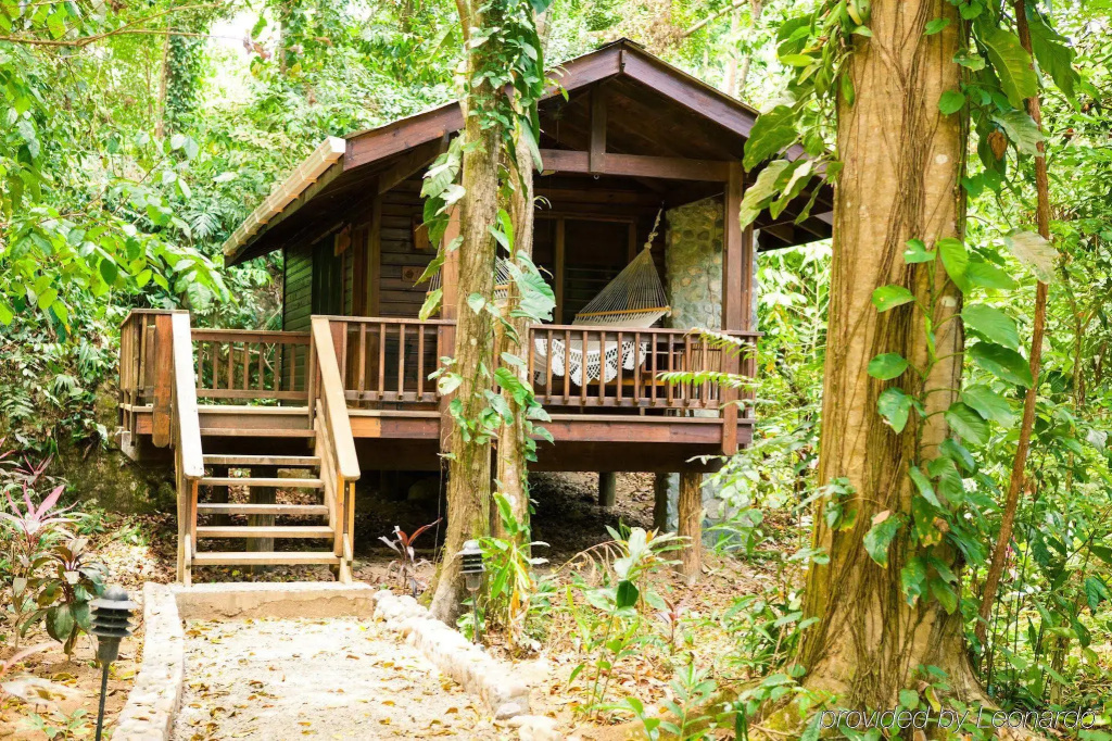 The Lodge at Pico Bonito - фото 43