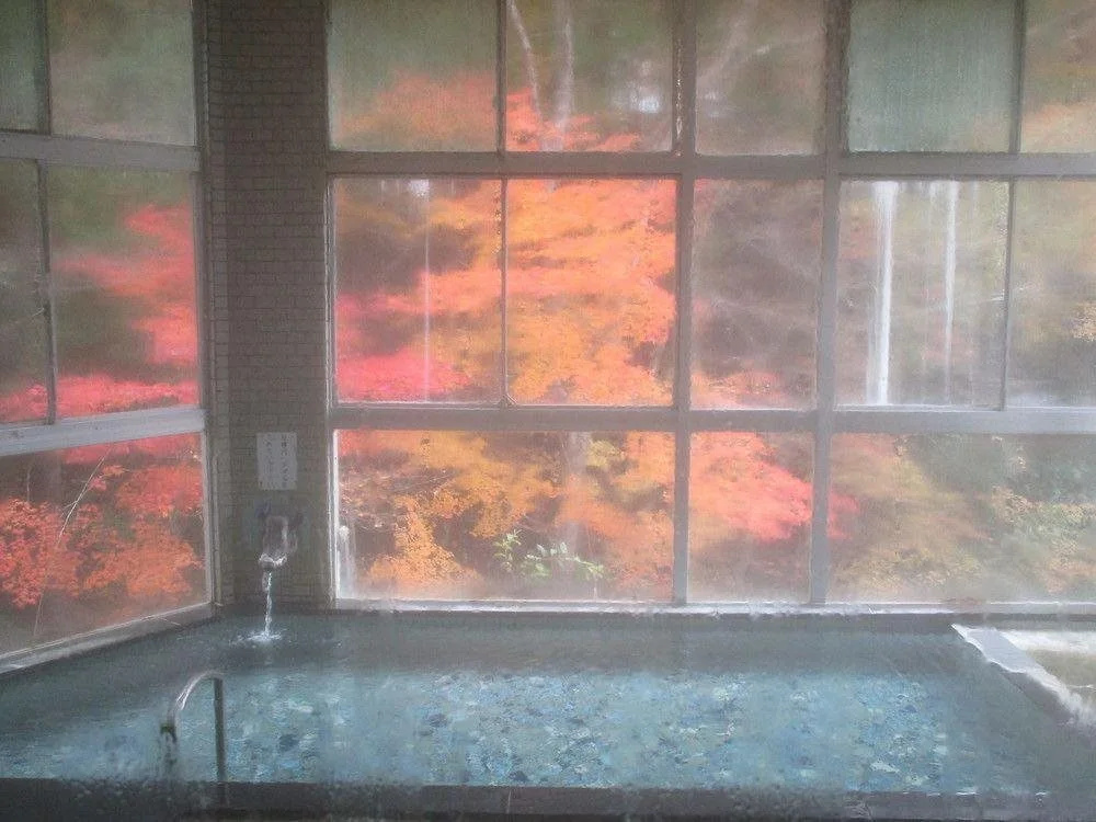 Fujiya Ryokan