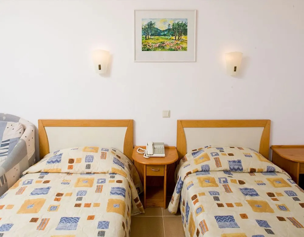 Standard Double room with balcony and with park view (full double bed)