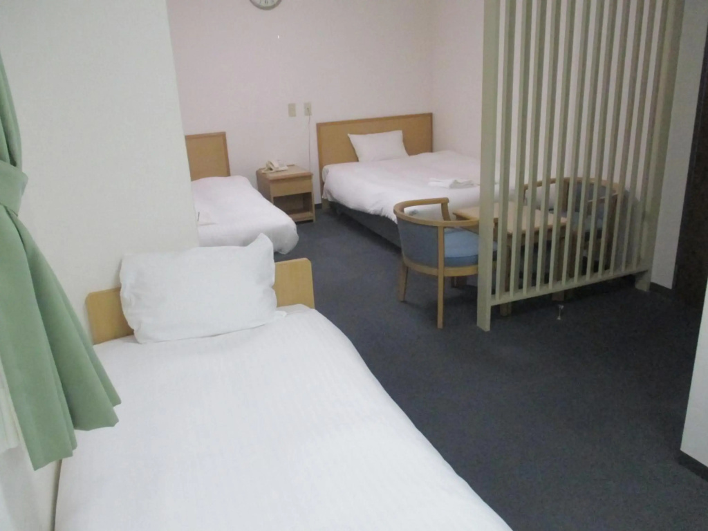 Hotel Green Well - Général