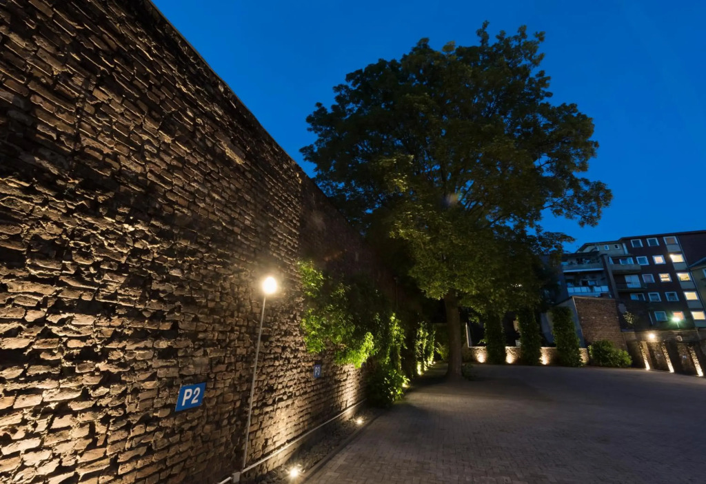 Image 15