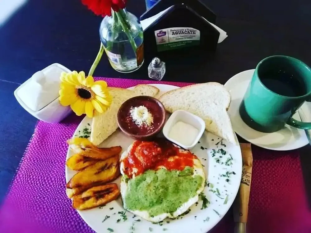 Hotel Gran Plaza Euromaya - Général