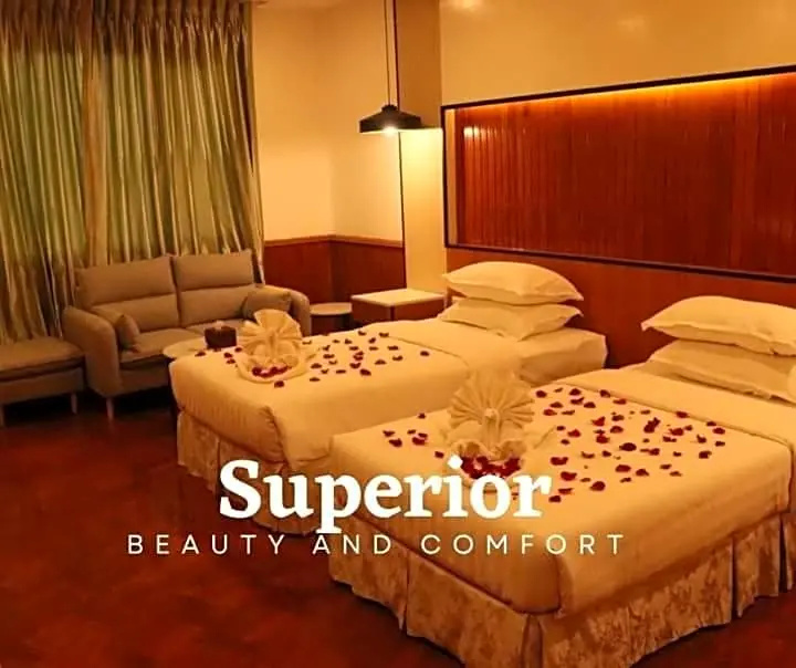 Superior Double room with city view (full double bed)
