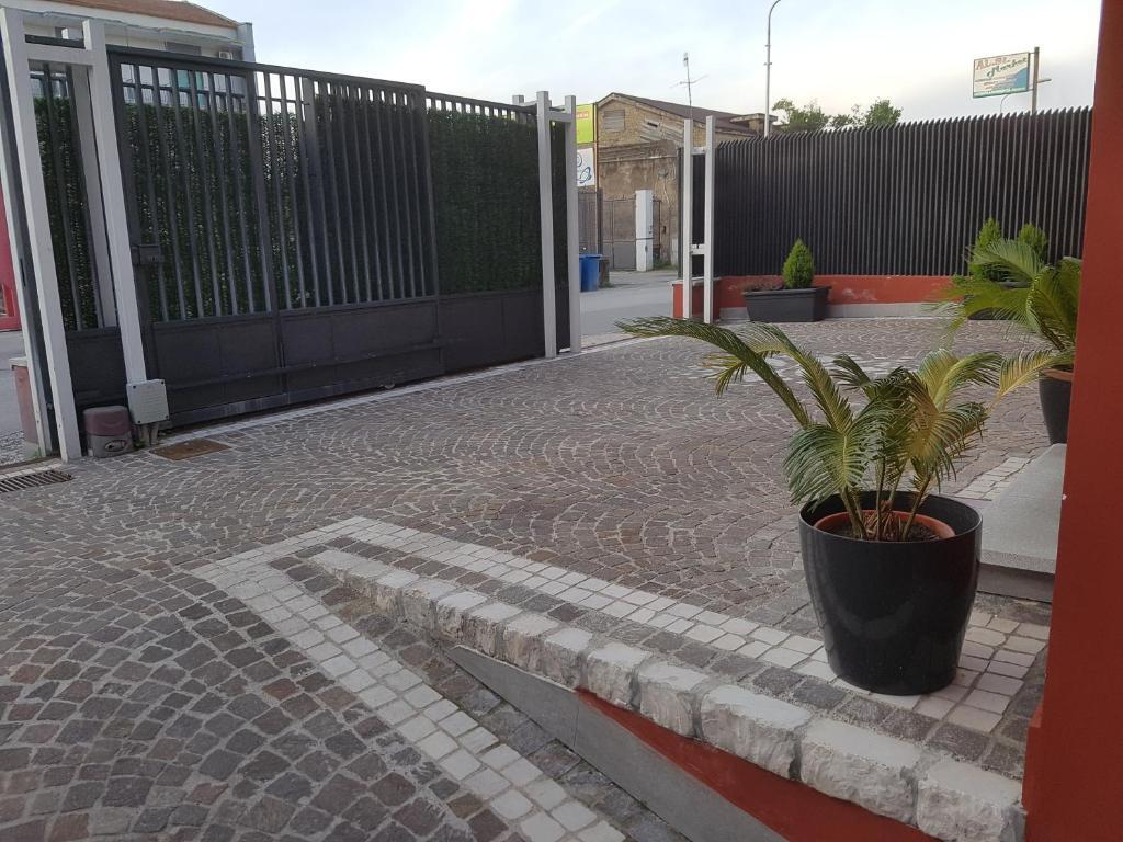 Image 10