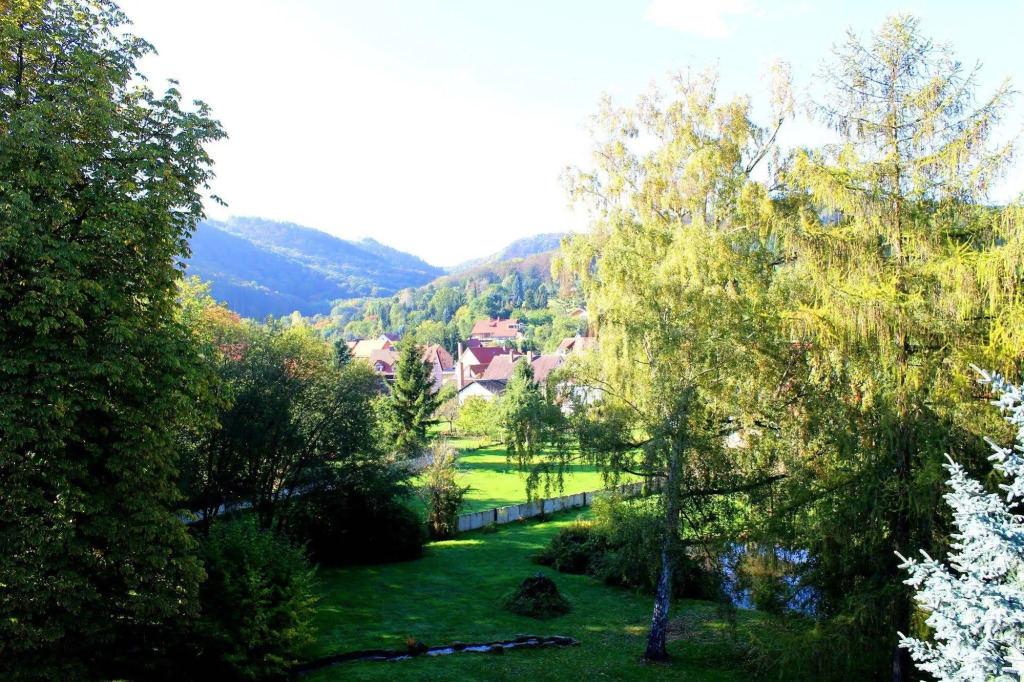 Image 30