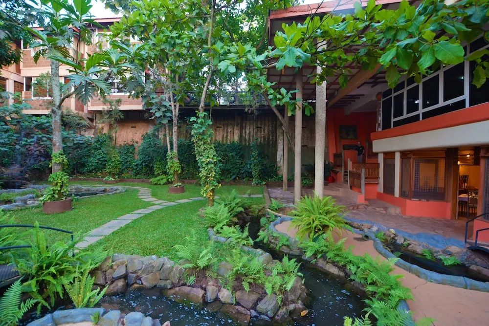 Forest Cottages - Chambres