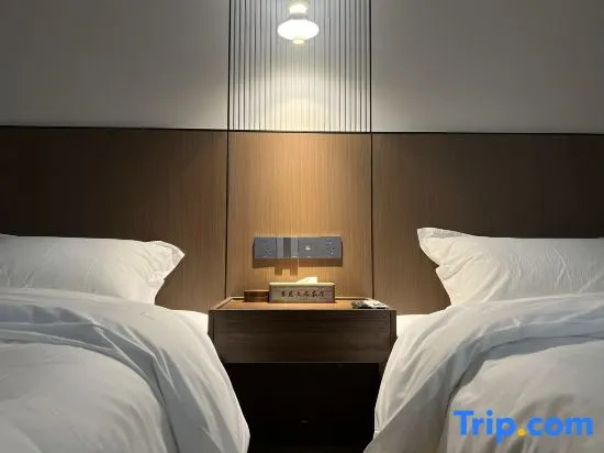 Deluxe Double room (twin beds)