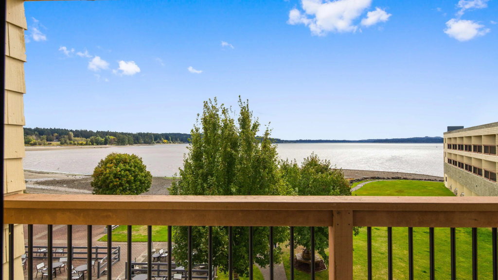 Balcony & Terrace