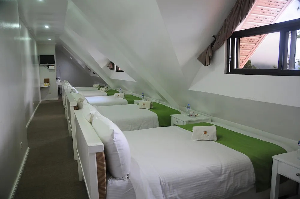 Standard Attic room