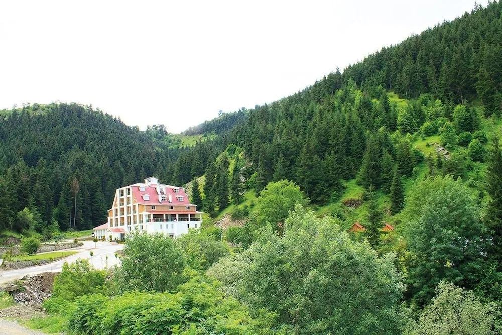 Green Valley Hotel Savsat - Général