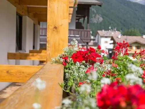 Balcony & Terrace