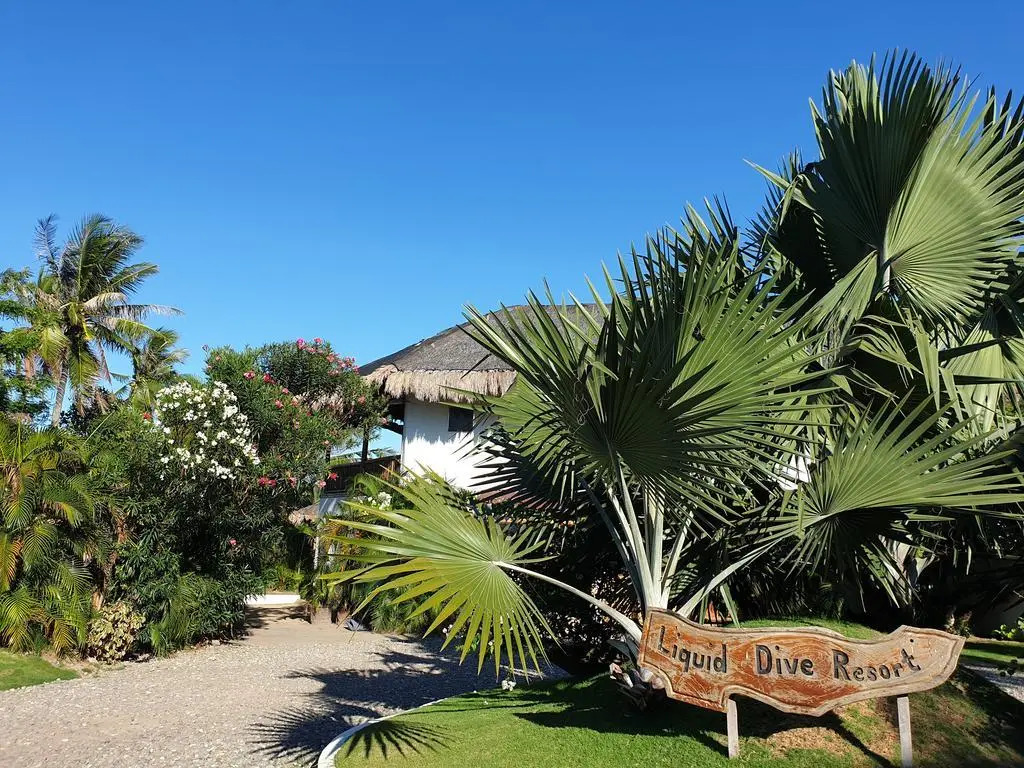 Liquid Dive Resort - фото 5