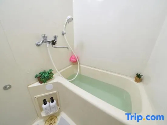 SC Hotel Umejima #301｜Sta. 3 min｜Ueno Asakusa Skytree 사진 2