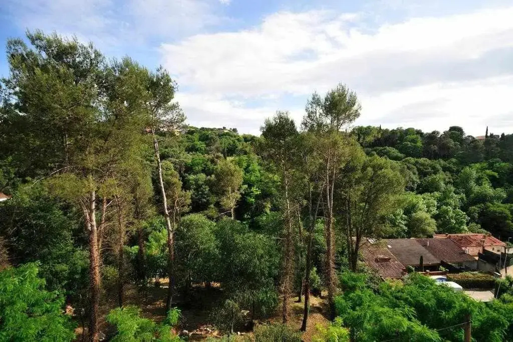 Apartamento con increíbles vistas y terraza en la azotea
