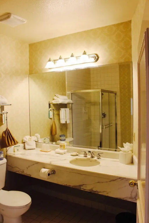 Carlyle Hotel - Chambres