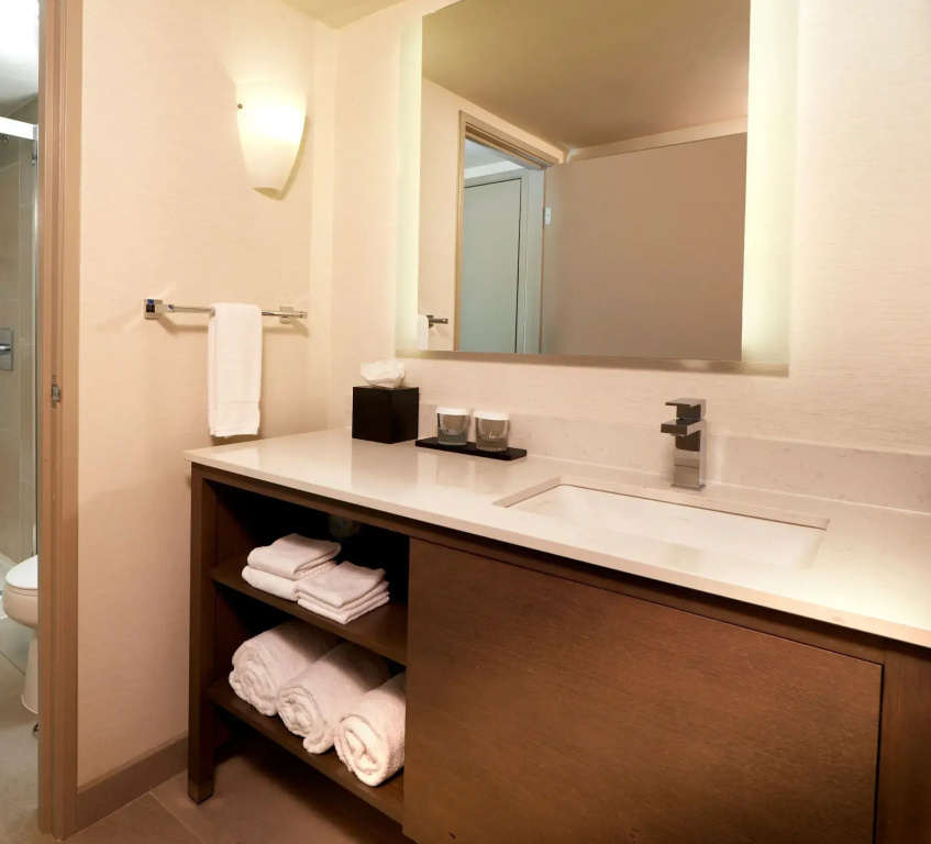 Embassy Suites by Hilton Phoenix Scottsdale - Général