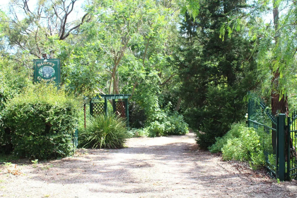 Image 14
