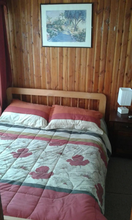 Hostal Valentino Villarrica - Général