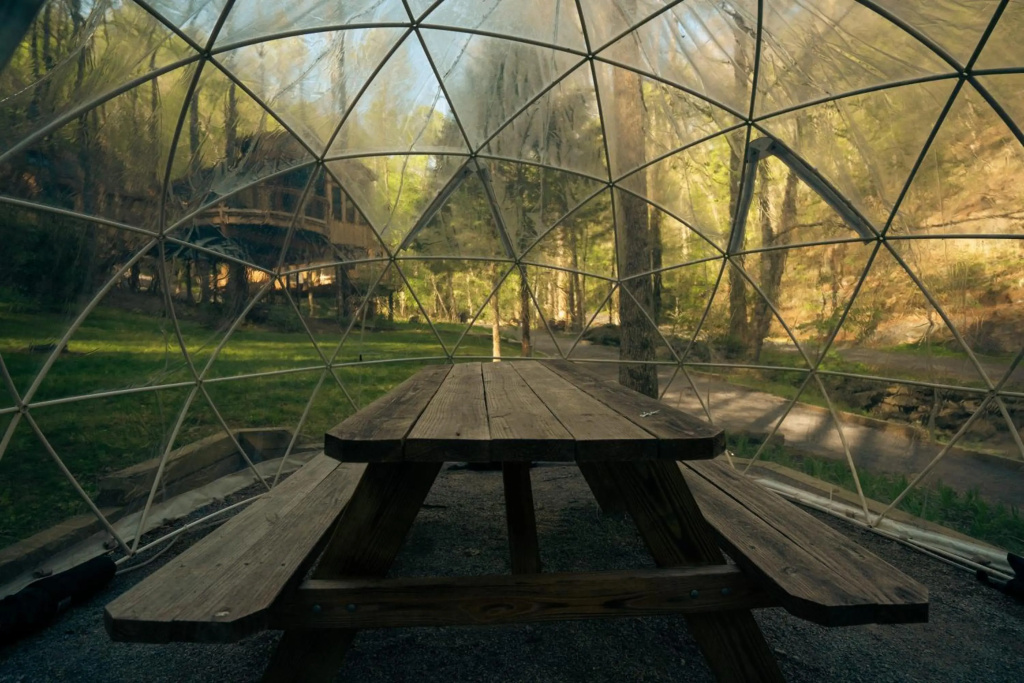 The Poplar in Treehouse Grove at Norton Creek
