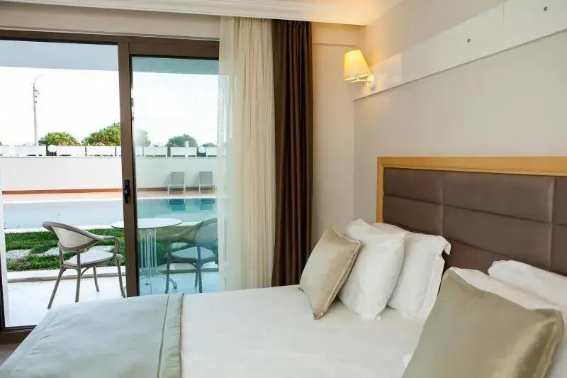 Standard Double room with pool view (full double bed)