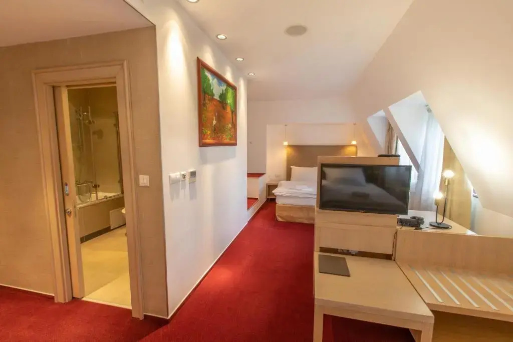 Hotel Villa Necas - Chambres
