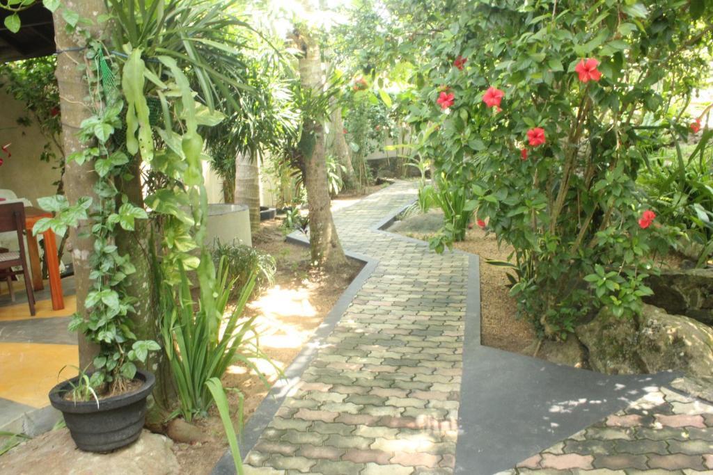 Dionis Villa