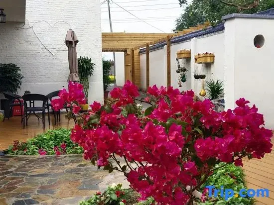 Turks Qingfeng Xiaozhu Homestay