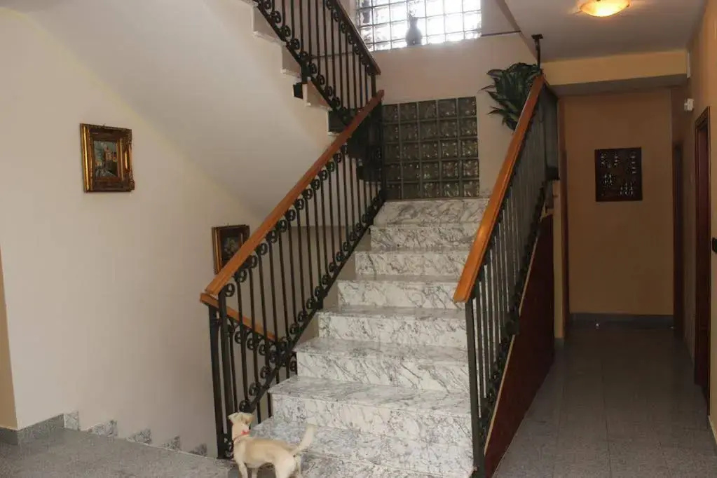 Hotel photo 27
