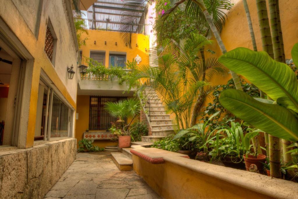 Luz En Yucatan by null