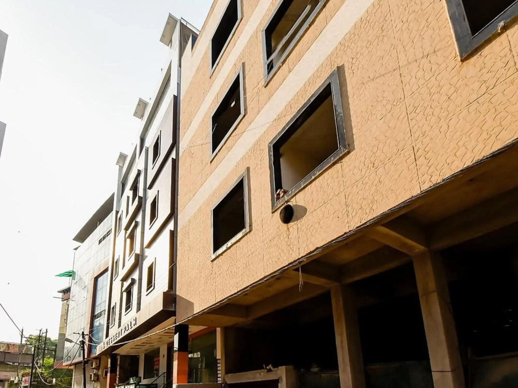 Dessert Palm — фото