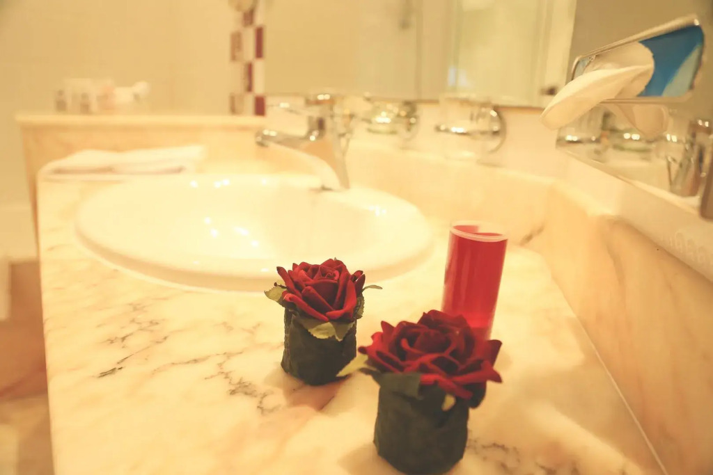 Regency Tunis Hotel - фото 8