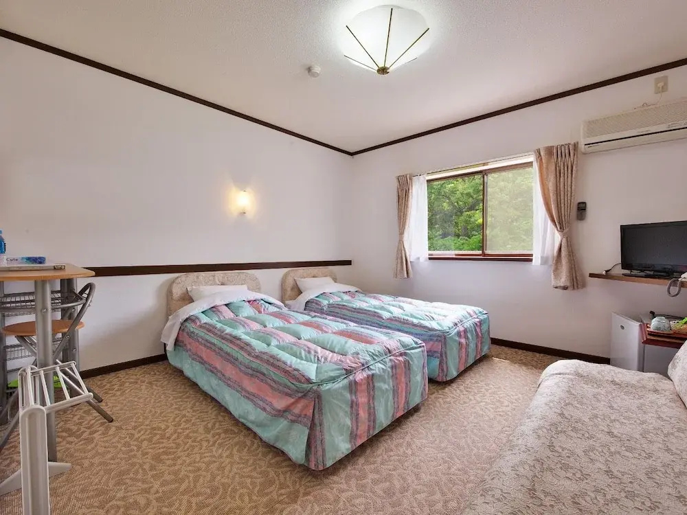 Deluxe Double room (twin beds)