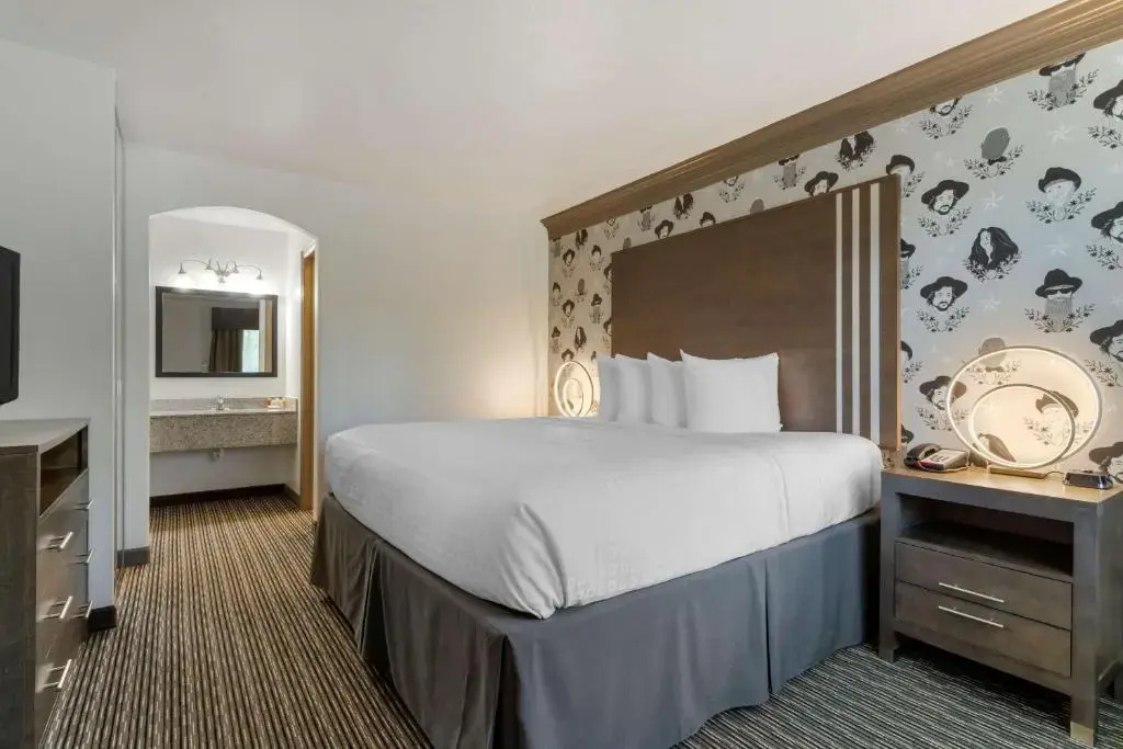 Aiden Austin City Hotel - Chambres