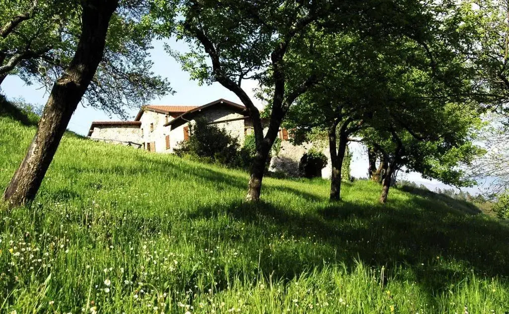 Agriturismo giandriale - Chambres