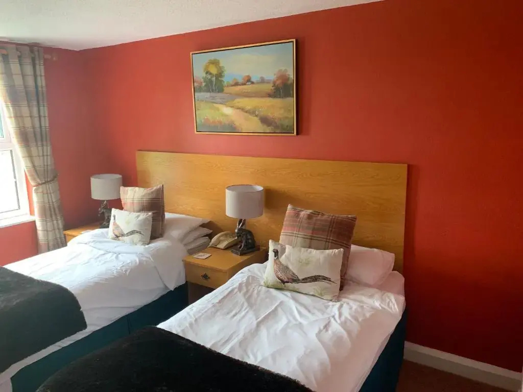 Standard Double room (twin beds)
