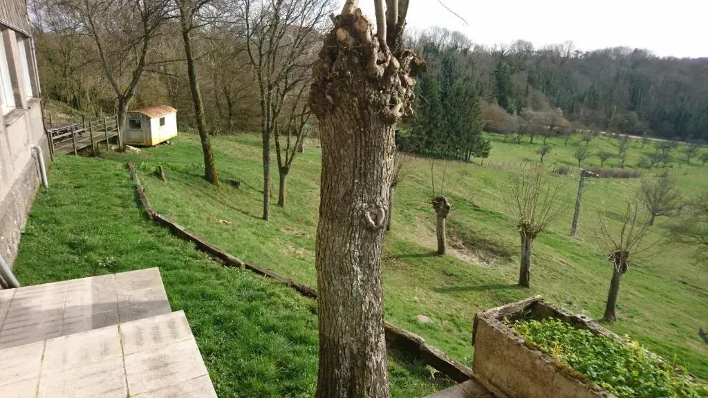 Les Hauts de Sion