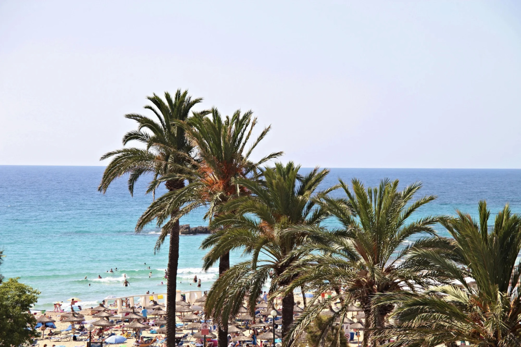 Beach & Waterfront
