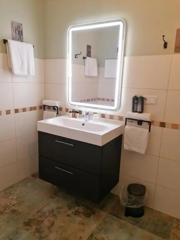 Hotel Bad Emser Hof - Chambres