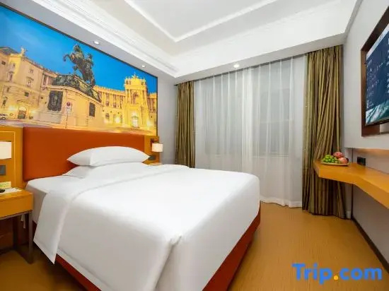 Vienna Hotel - Chambres