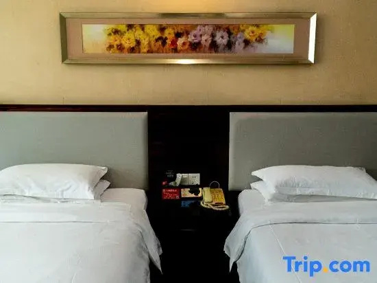 Standard Double room with city view (twin beds)
