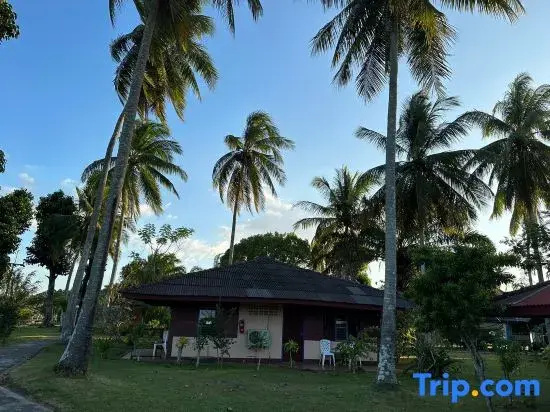 Yataa Spa And Resort - Chambres