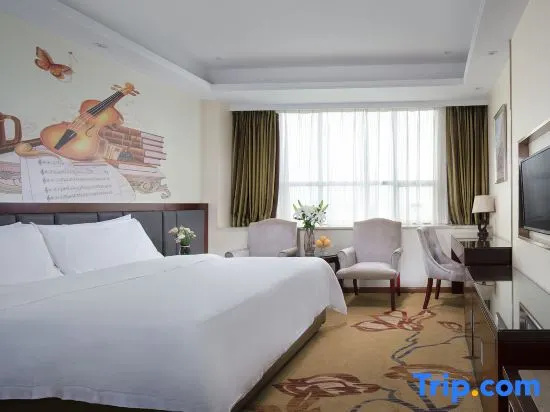 Vienna Classic Hotel (Dongguan Tangxia Avenue) - Chambres