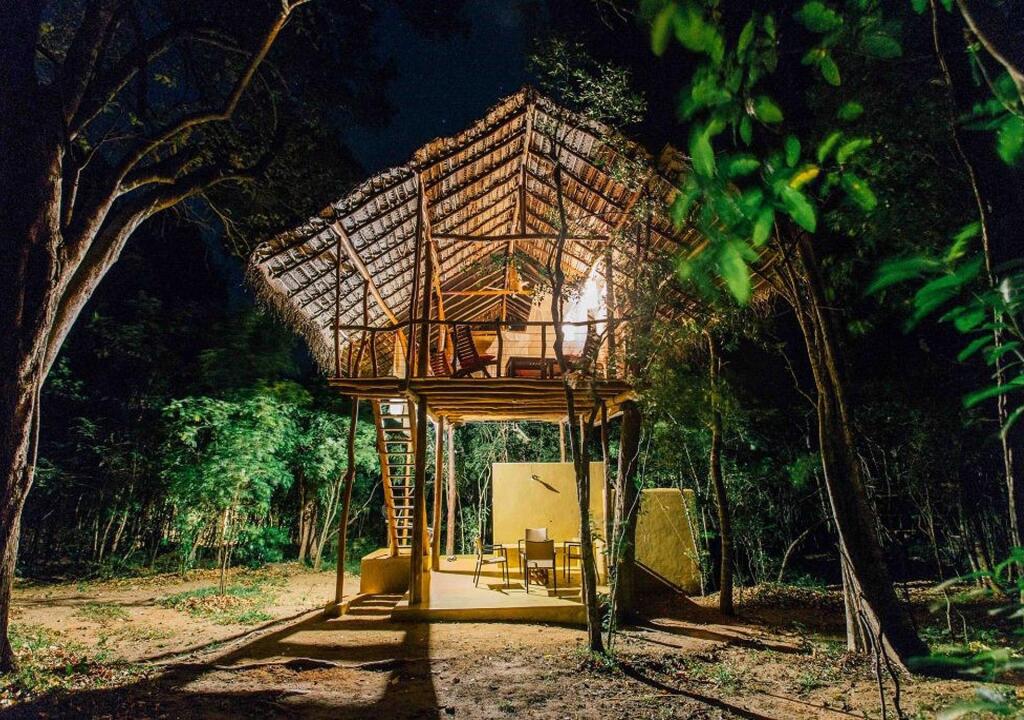 Back Of Beyond - Pidurangala