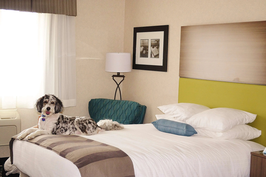 Best Western DuBois Hotel — фото 5