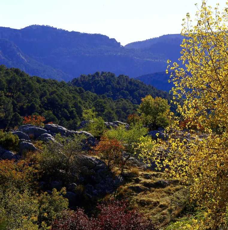 Parador De Cazorla - Chambres