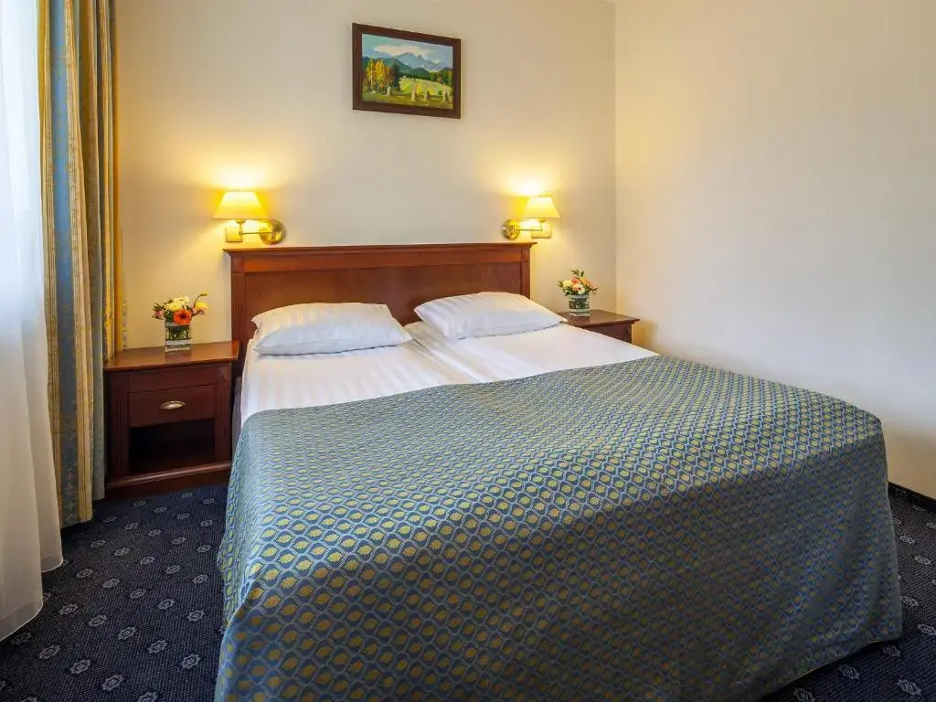 Czarny Potok Wellness & Spa Zakopane Centrum - Chambres