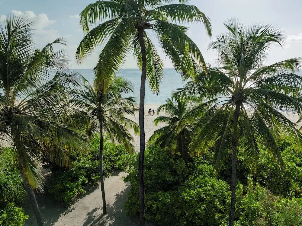 Noku Maldives, Vignette Collection By Ihg