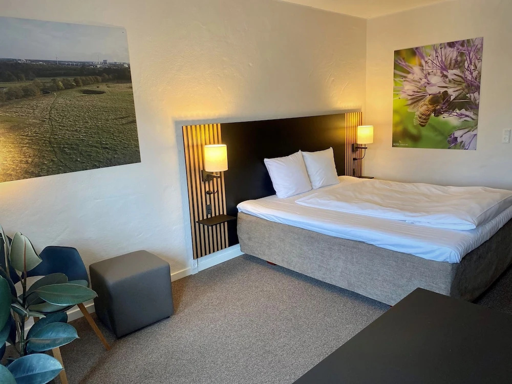 Business Double room (full double bed)