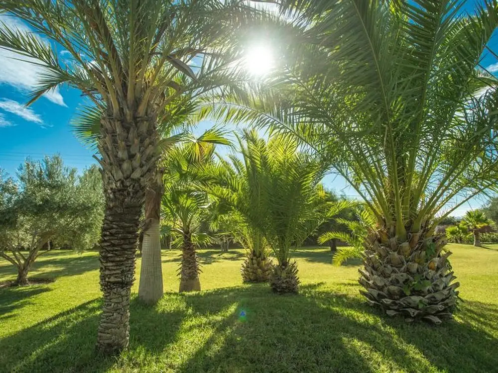Villa les Oliviers 2 Bedrooms - A Setting of Tranquility - фото 41